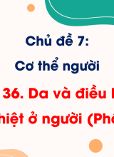Bài 36. Da và điều hoà thân nhiệt ở người (Phần I, II)